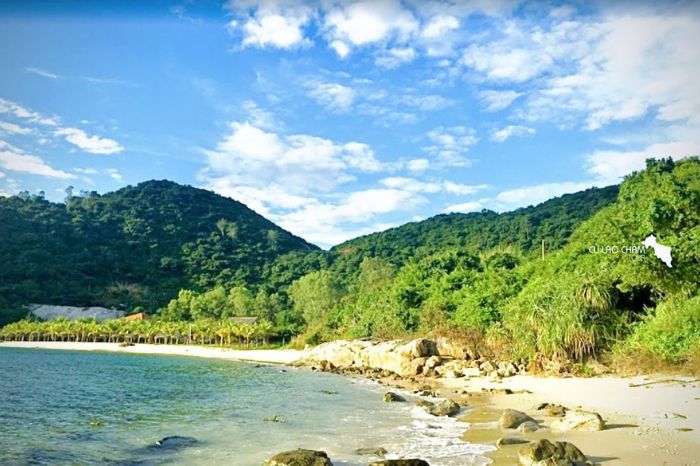Địa điểm gần Bãi Làng Cù Lao Chàm