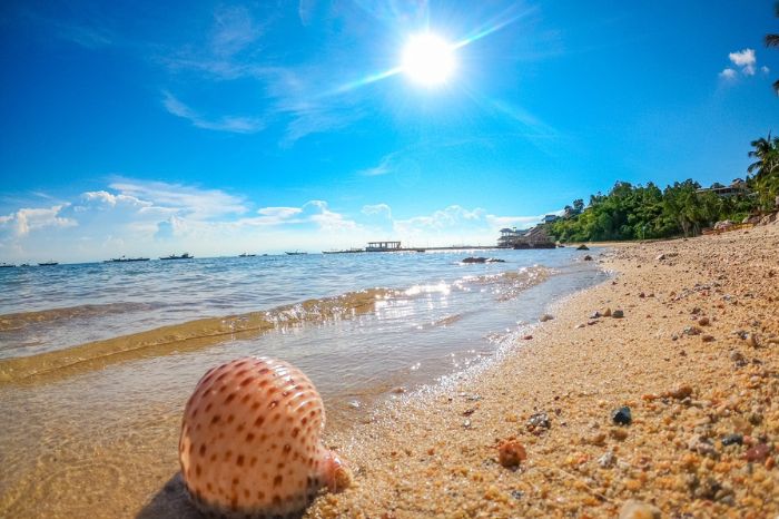 Địa điểm gần Bãi Làng Cù Lao Chàm