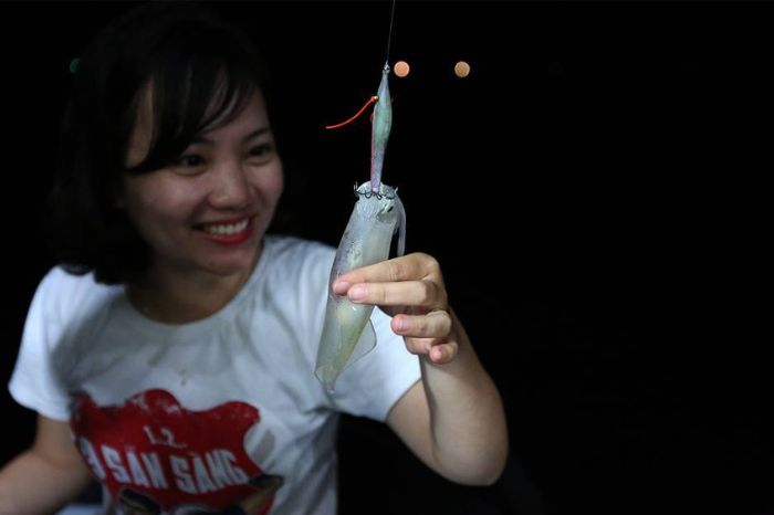 Câu mực đêm Cù Lao Chàm