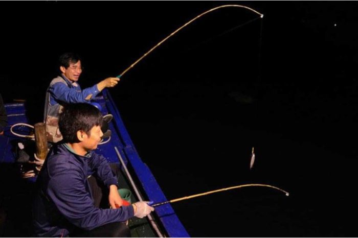 Bí quyết Câu mực đêm Cù Lao Chàm
