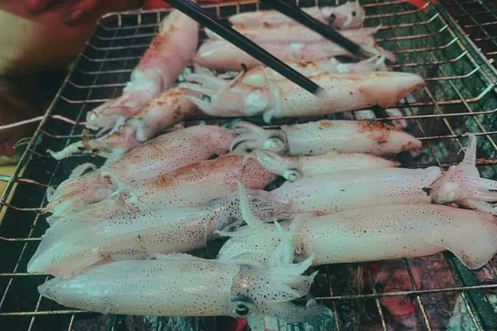 Câu mực đêm Cù Lao Chàm