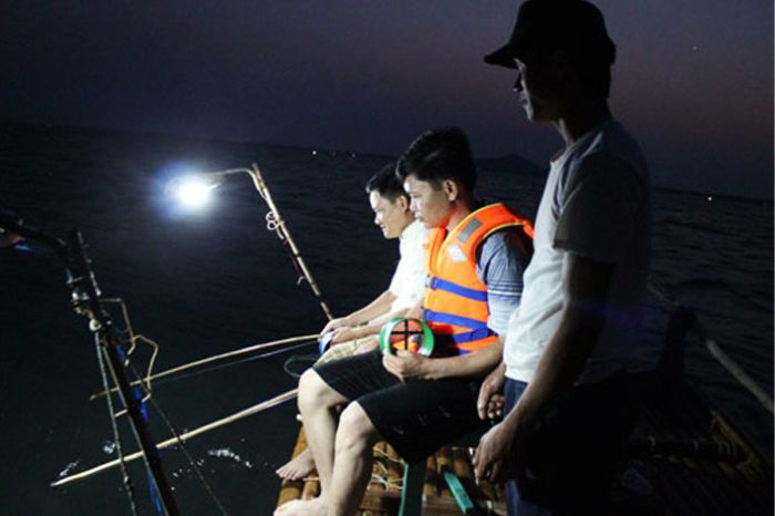 Câu mực đêm Cù Lao Chàm