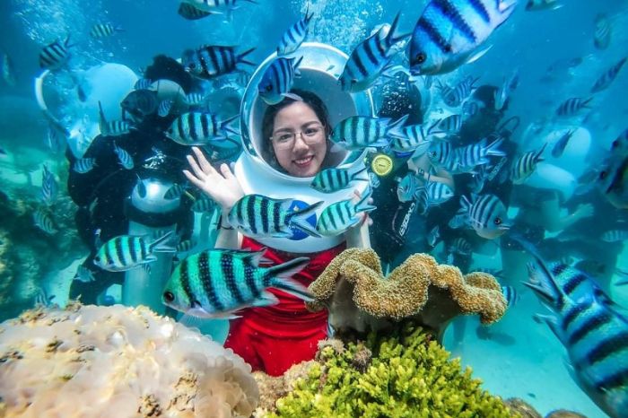 Đi bộ dưới biển Cù Lao Chàm