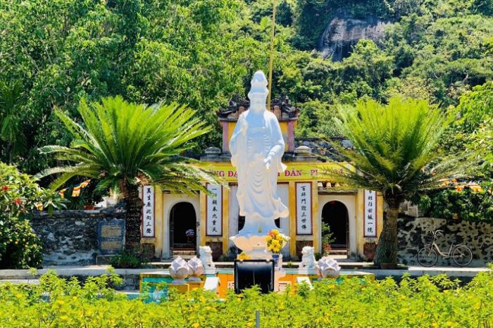 Tour Cù Lao Chàm