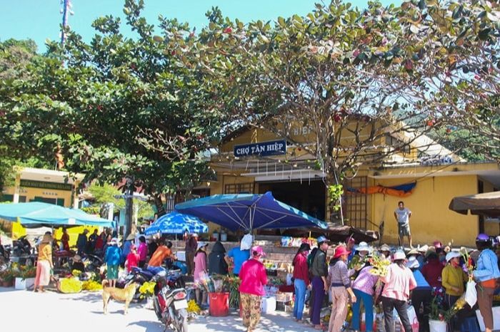 Giá vé cano Cù Lao Chàm có trải nghiệm gì