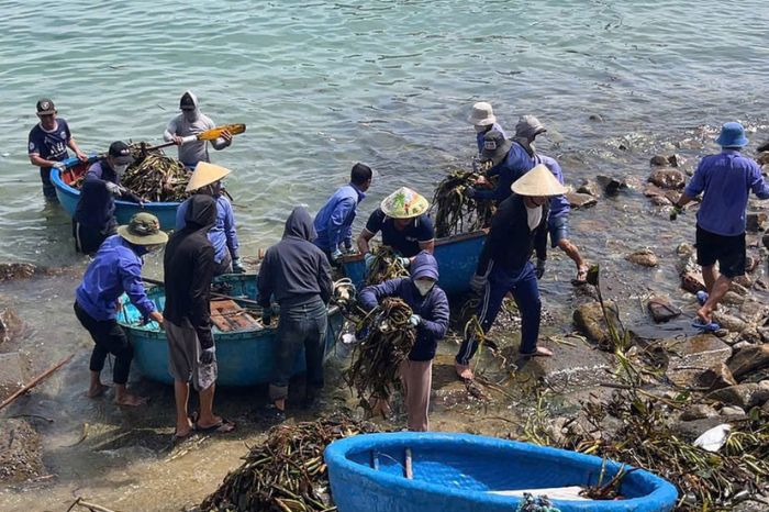 Giới thiệu về đảo Cù Lao Chàm