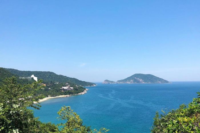 Lặn ngắm san hồ Cù Lao Chàm ở đâu