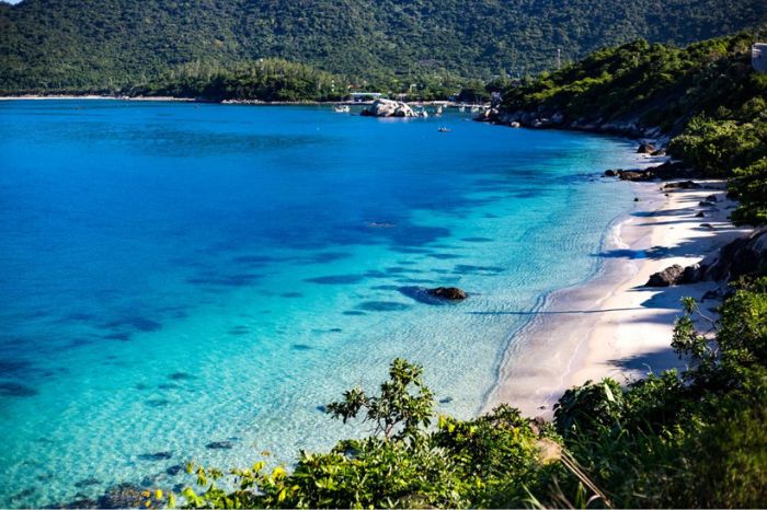 Lặn ngắm san hồ Cù Lao Chàm ở đâu