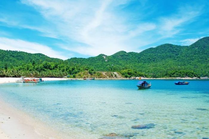 Lặn ngắm san hồ Cù Lao Chàm ở đâu