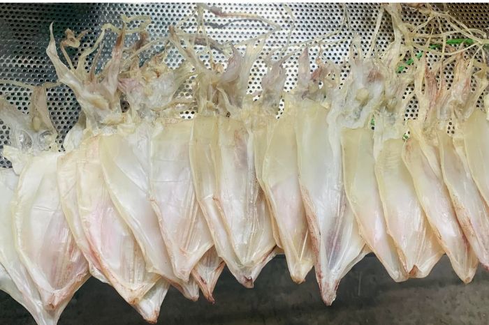 Mực một nắng Cù Lao Chàm